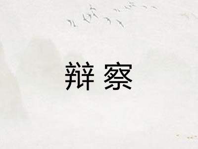 辩察