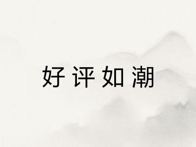 好评如潮