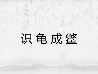 识龟成鳖