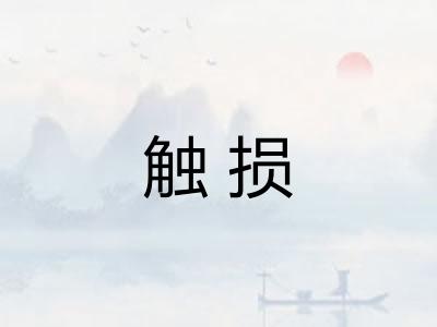 触损