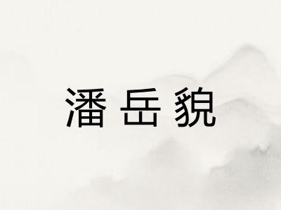 潘岳貌