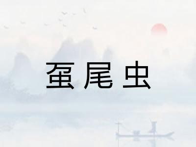 虿尾虫