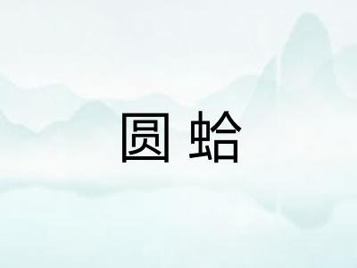 圆蛤
