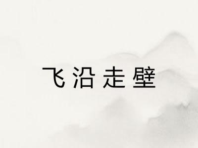 飞沿走壁