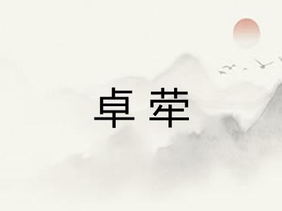 卓荦