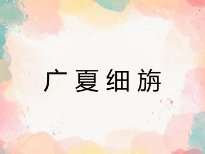广夏细旃