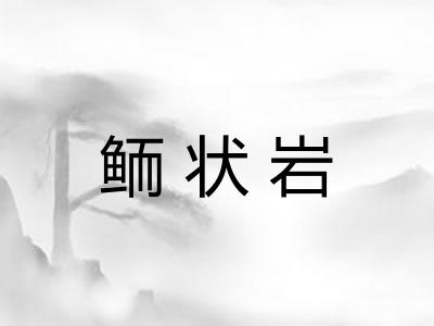 鲕状岩