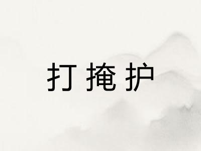 打掩护