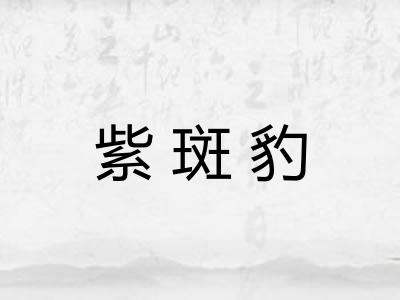 紫斑豹