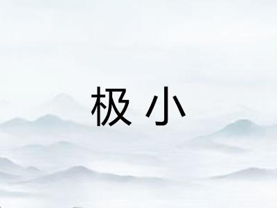 极小