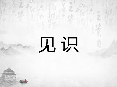 见识