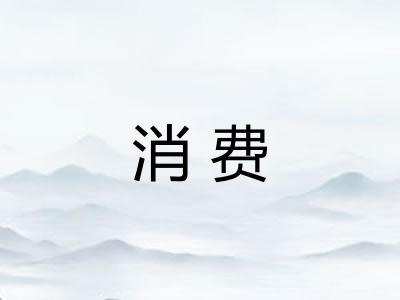 消费