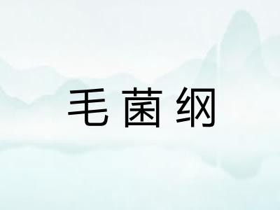 毛菌纲