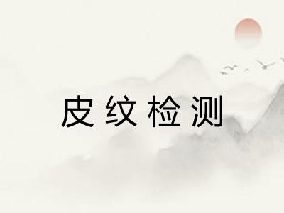 皮纹检测