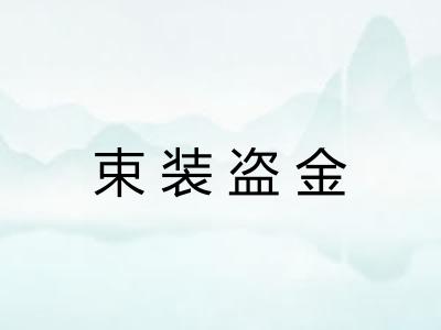 束装盗金