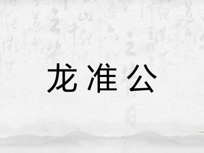 龙准公