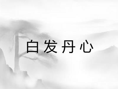 白发丹心