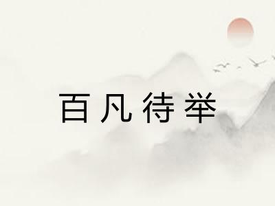 百凡待举