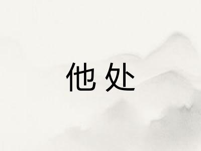 他处