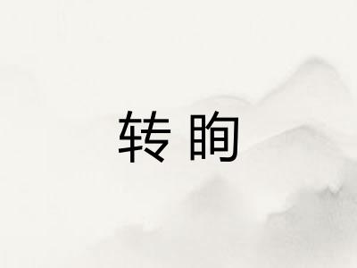转眴