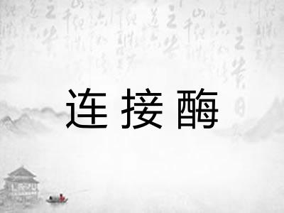 连接酶