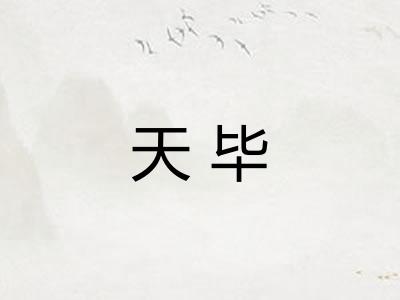 天毕