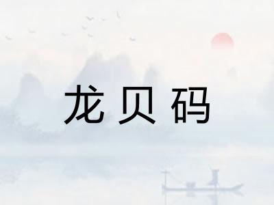 龙贝码