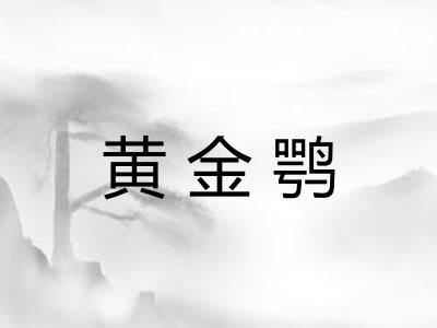 黄金鹗