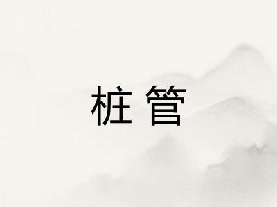 桩管