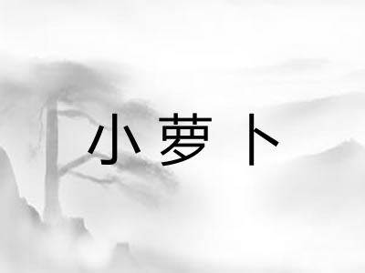 小萝卜