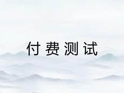 付费测试