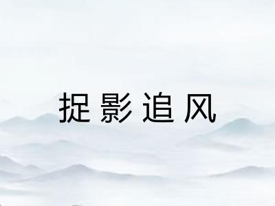 捉影追风
