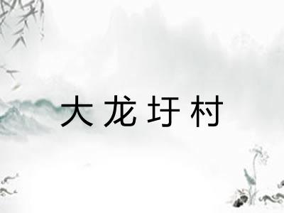 大龙圩村