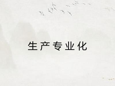 生产专业化