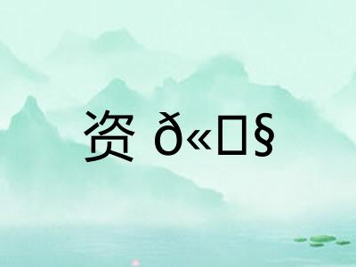 资𫓧