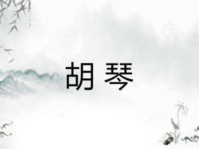 胡琴
