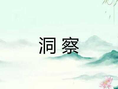 洞察