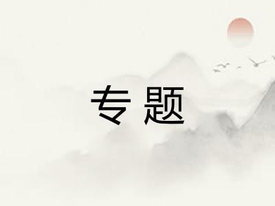 专题