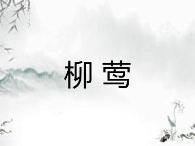 柳莺