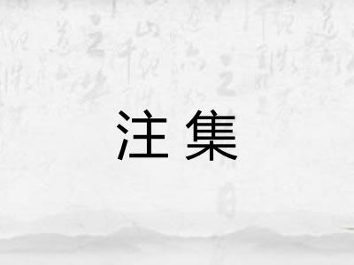 注集
