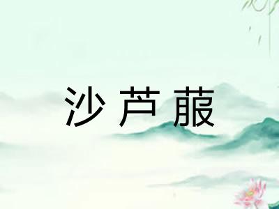沙芦菔