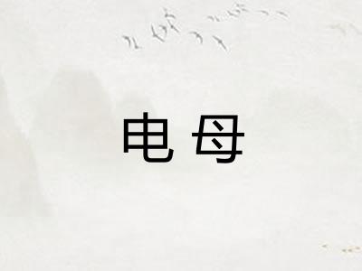 电母