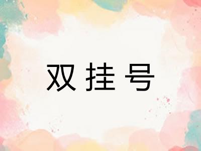 双挂号