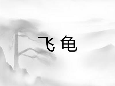 飞龟