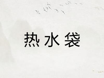 热水袋