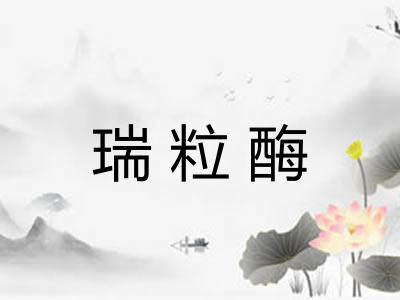 瑞粒酶