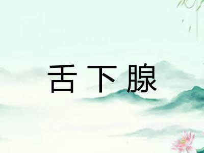 舌下腺
