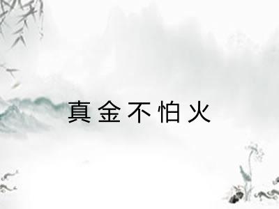 真金不怕火