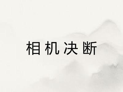 相机决断