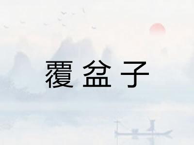 覆盆子